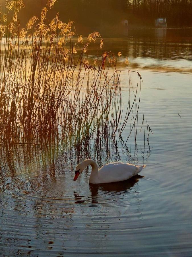 Tramonto Al Lago Gavirate Dış mekan fotoğraf